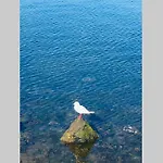 L Escapade * Capbreton