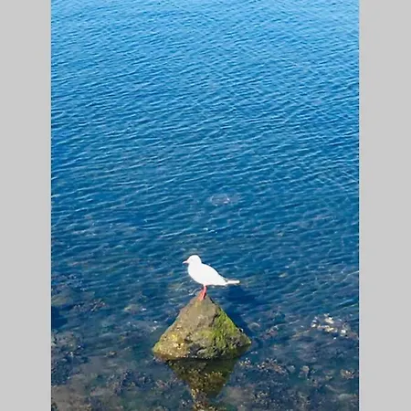 L Escapade * Capbreton