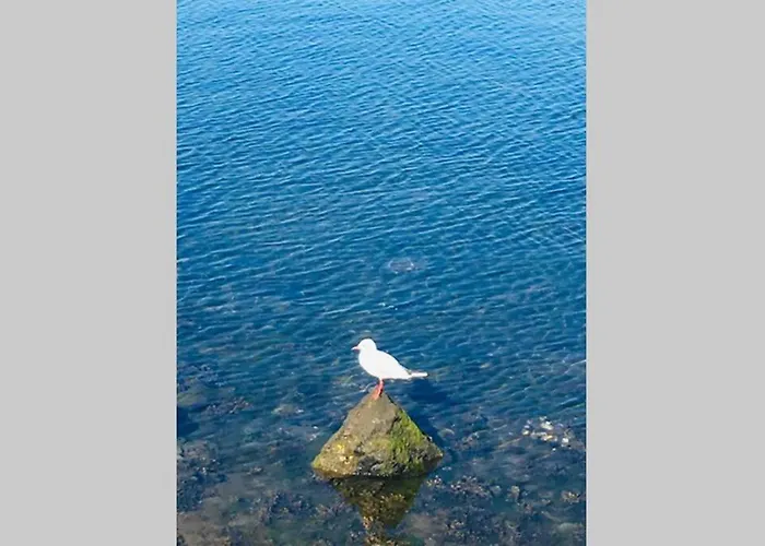 L Escapade * קפברטון